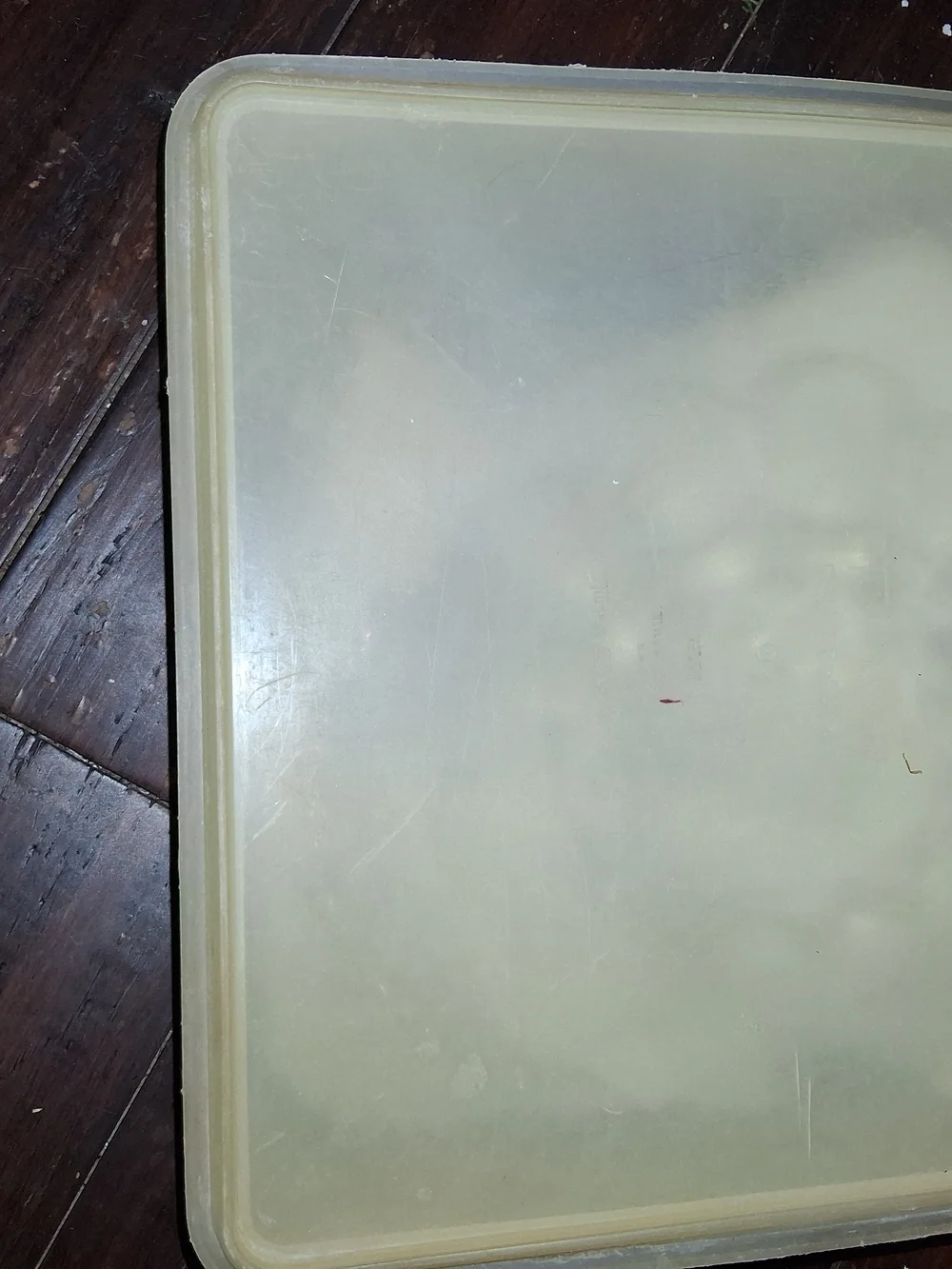 Tupperware Square Cream Food Storage Lid